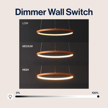Brice Modern Contemporary Iron Integrated LED Pendant